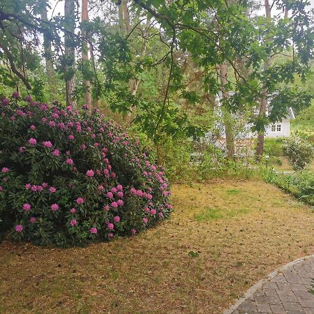 Fahrradpension Am Weg Nach Kopenhagen Fürstenberg-Havel Buitenkant foto